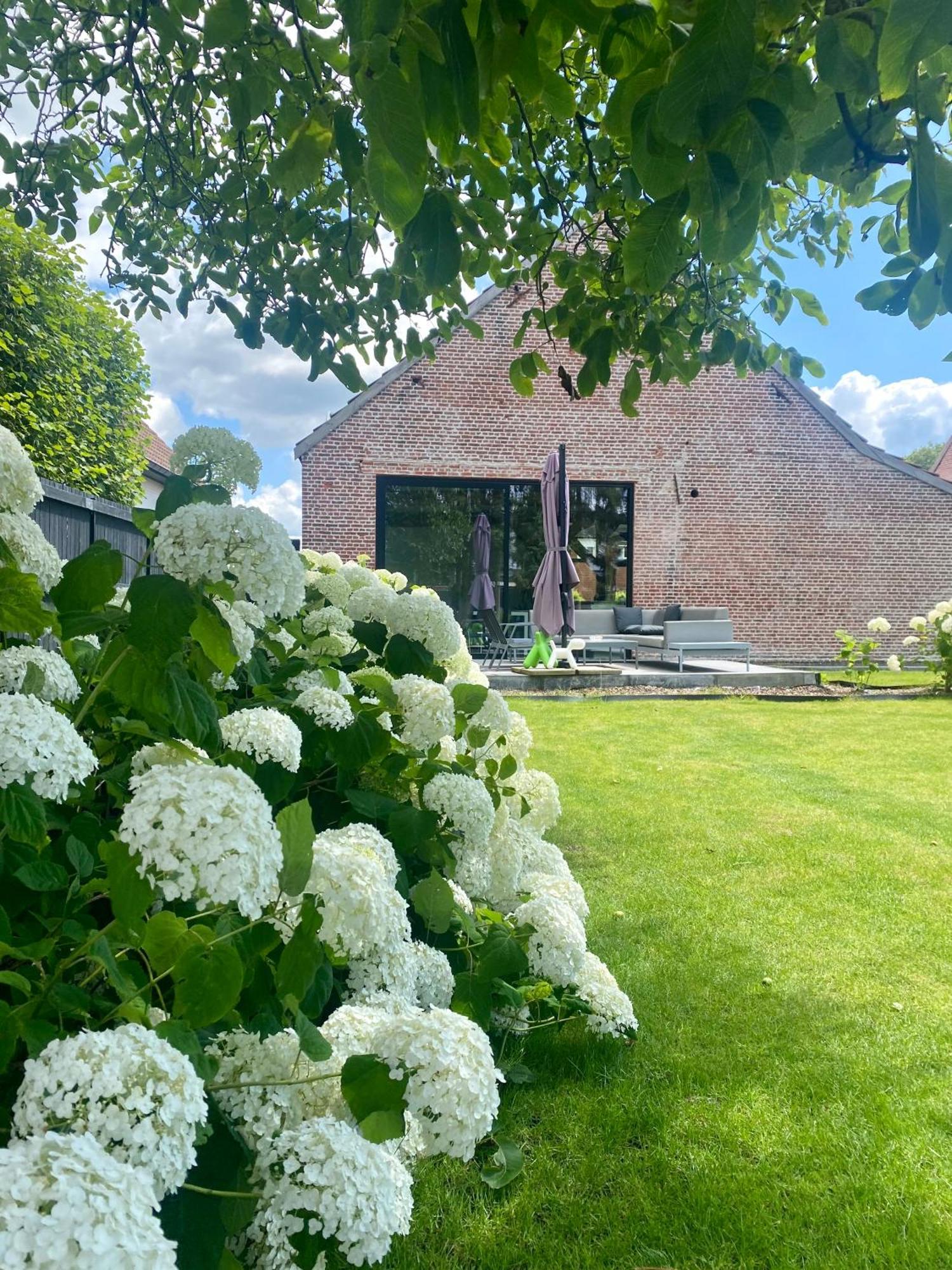 Hoeve De Kleinheide Десел Екстер'єр фото
