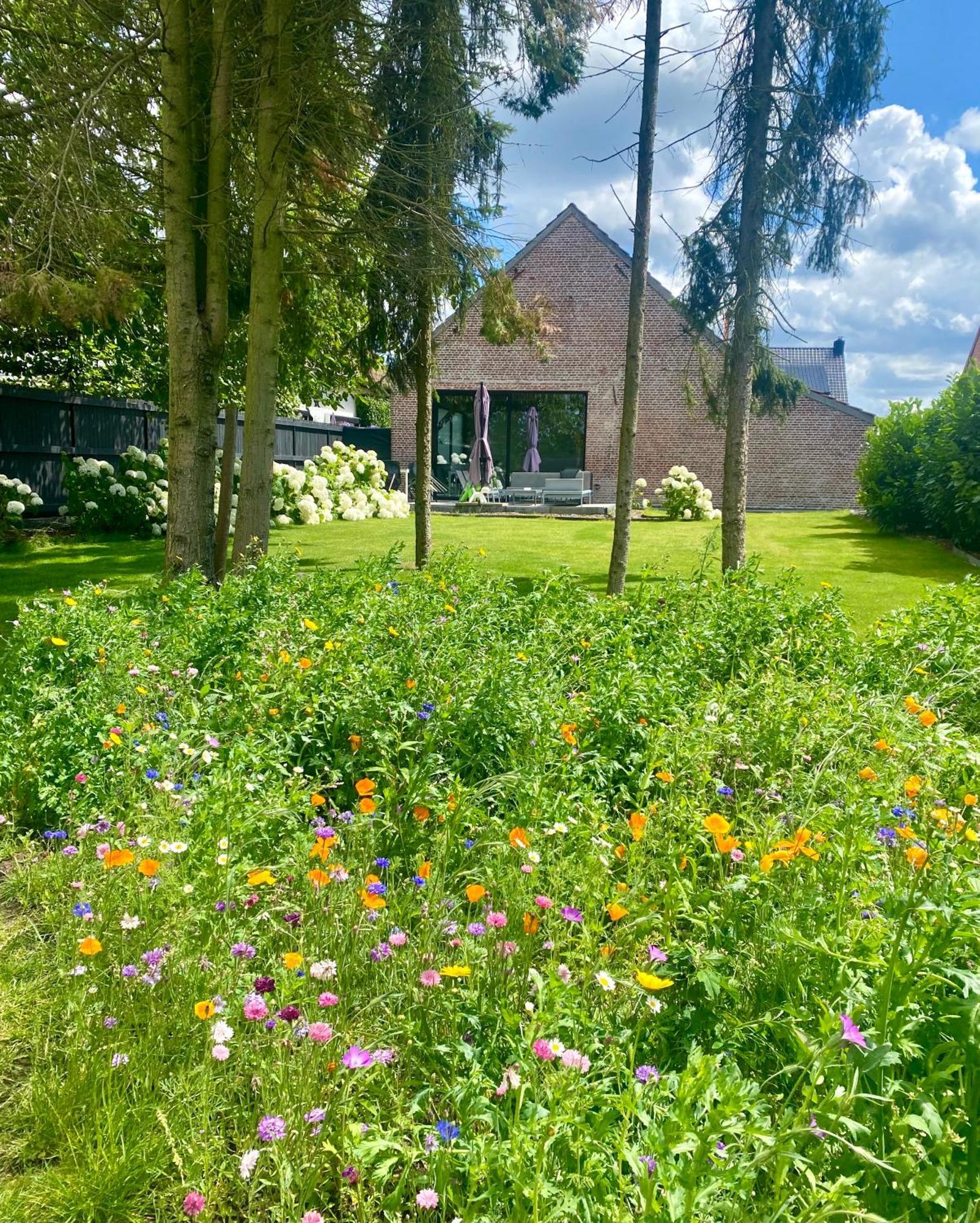 Hoeve De Kleinheide Десел Екстер'єр фото